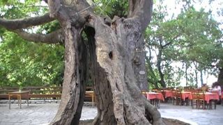 Καζαβίτι. Μικρός & Μεγάλος Πρίνος